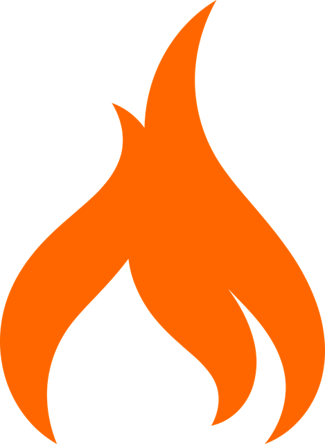 logo flame